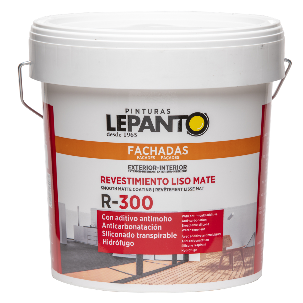 R-300 HIDROF CH-561 GRIS PLATINO 4L